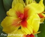 tropical flowersFrau Gartenburg