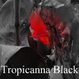 All about canna Tropicanna Black