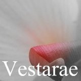 All about canna Vestarae