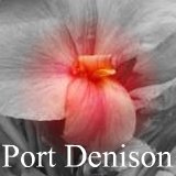 Read about canna Port Denison