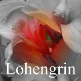 All about canna Lohengrin