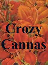 Crozy Cannas raised in France names and descriptions
