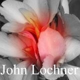 All about the canna John Lochner