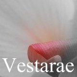 Read about canna Vestarae