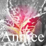 Read about canna Annjee
